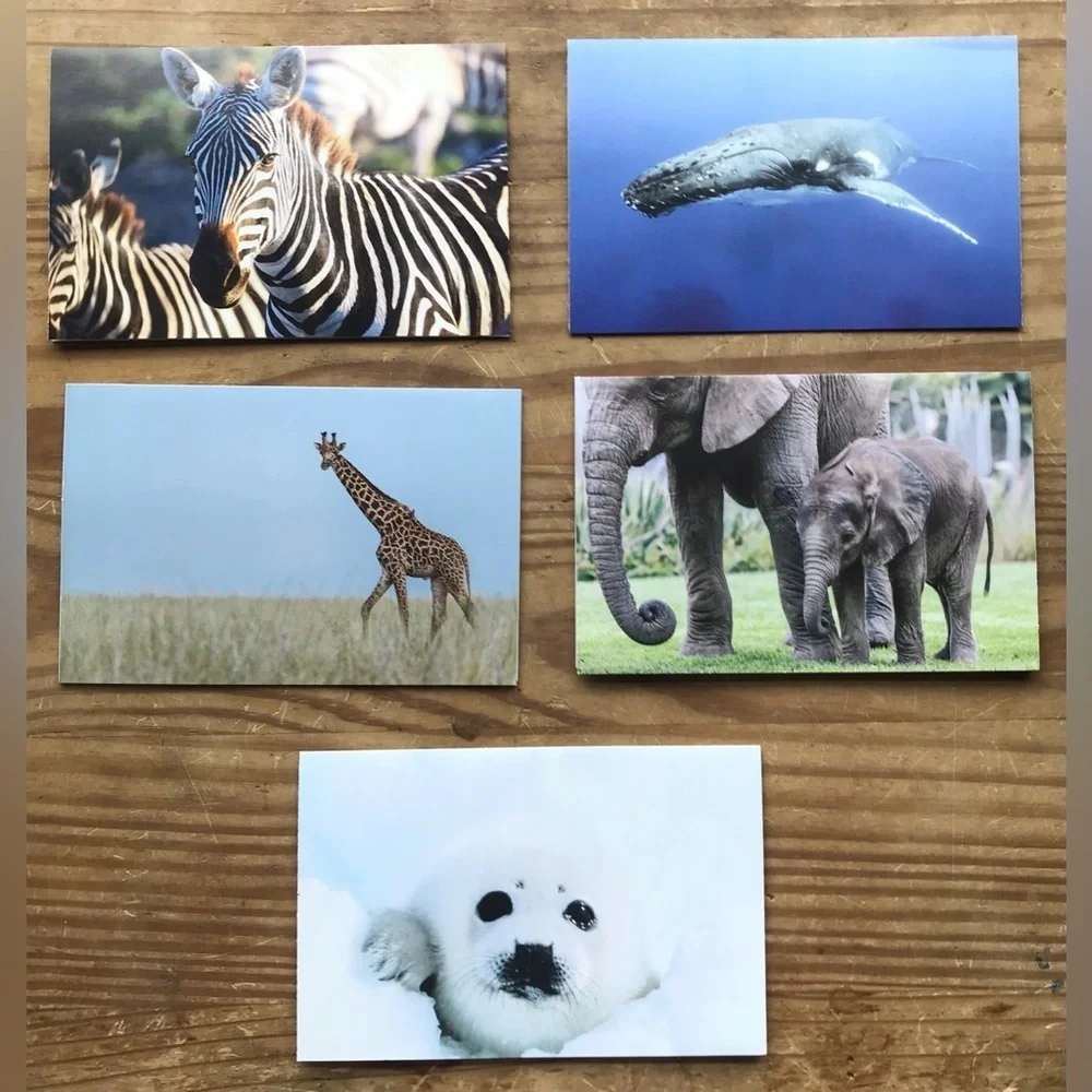 Animal Note Cards Seal Whale Zebra Elephant Giraffe Framable Junk Journaling